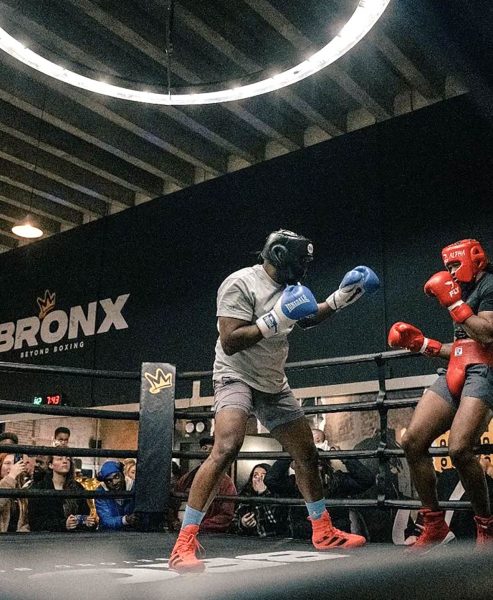 BRONX GYM, CAMBERWELL