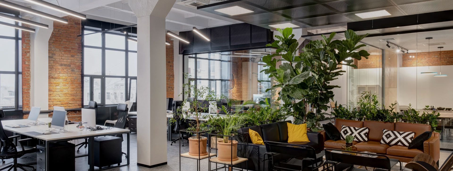 Commercial Fit out